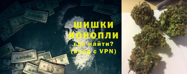 бошки Новодвинск