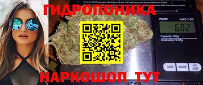 соль ск Кандалакша