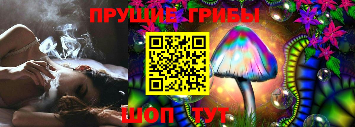 Полевской  Галлюциногенные грибы прущие грибы  Вход с VPN  Псилоцибиновые грибы MAGIC MUSHROOMS 